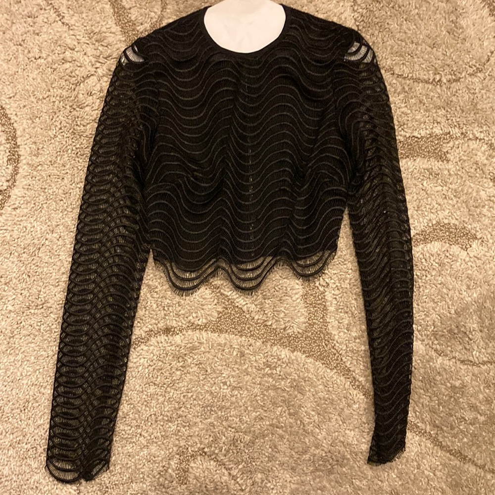 Bec and bridge sheer elegant crop top